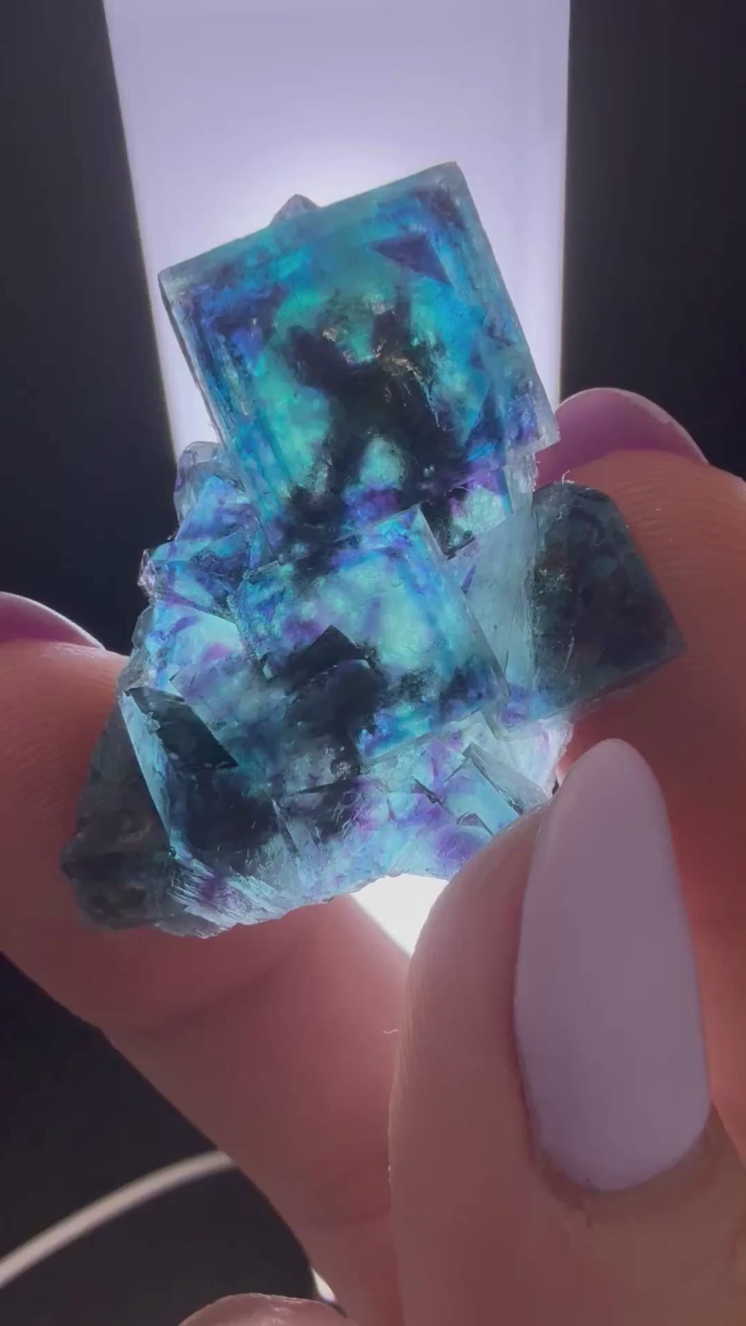 Fluorite "Butterfly Pocket"