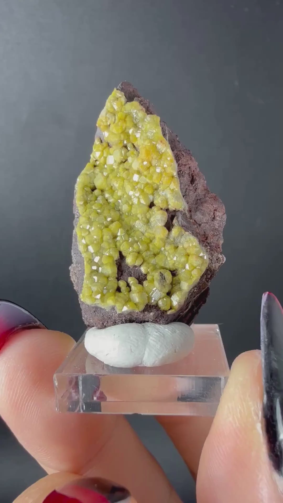 Mimetite-Pyromorphite series