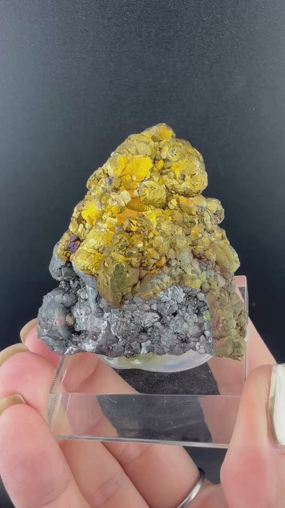Pyrite Tetrahedrite on Chalcopyrite with Bournonite and Mangano Calcite