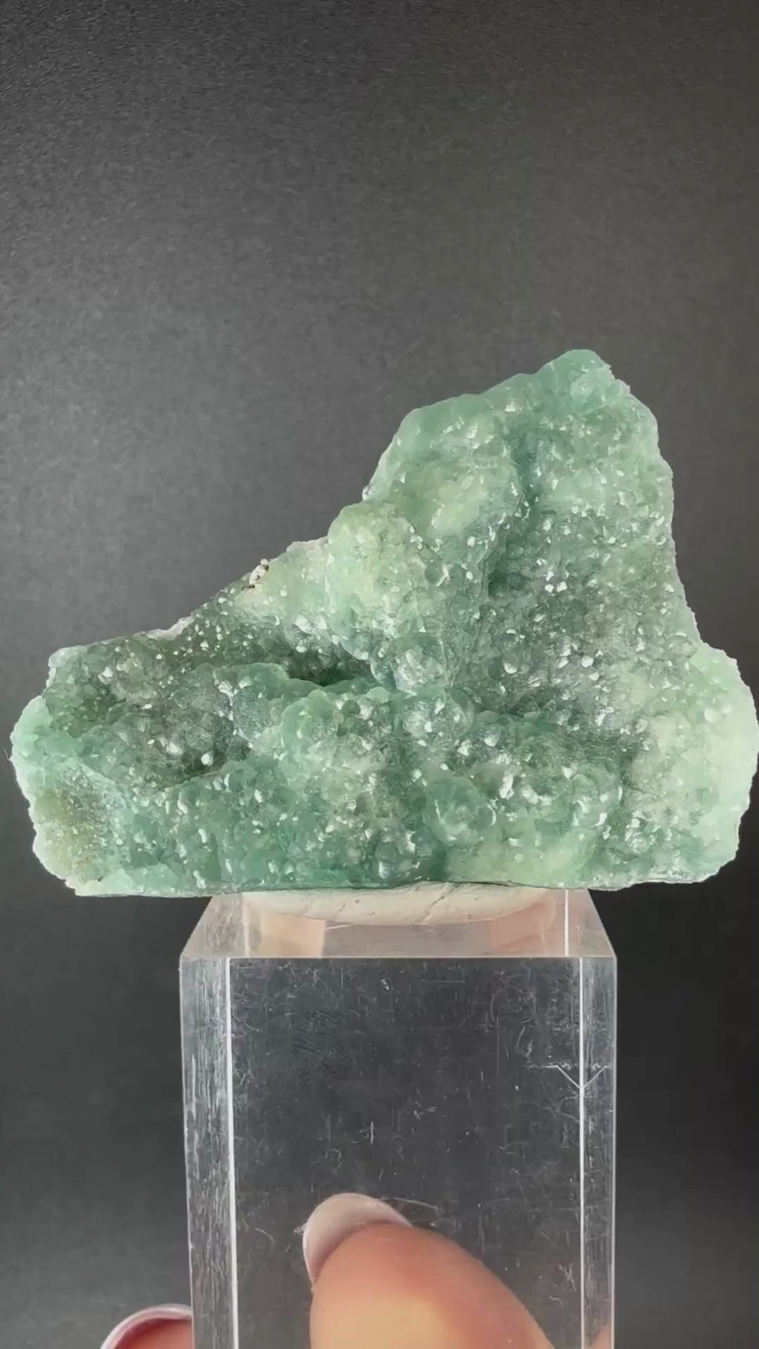 Kipushite